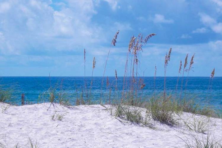 Gulf Shores