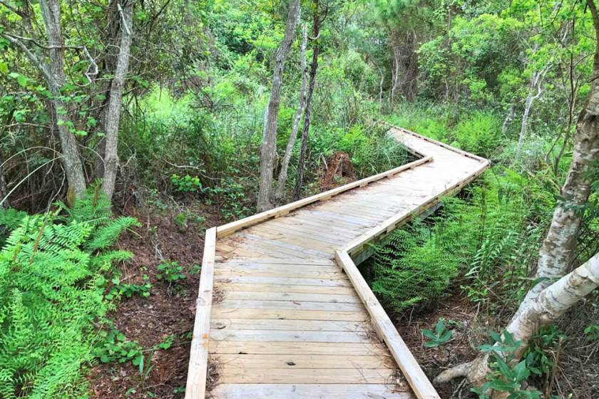 Gulf State Park Trails